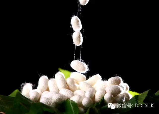 点击新窗口打开大图