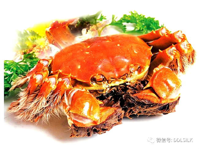 点击新窗口打开大图