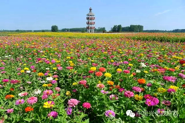 点击新窗口打开大图
