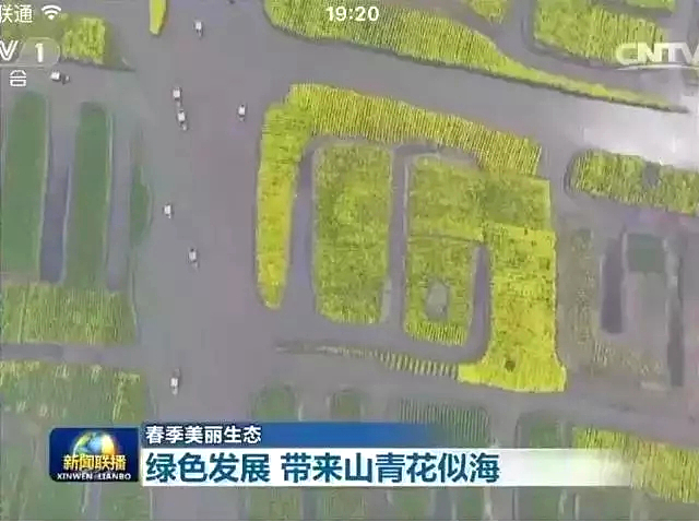 点击新窗口打开大图