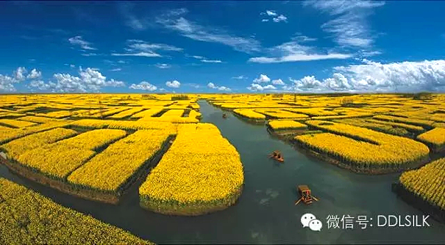 点击新窗口打开大图