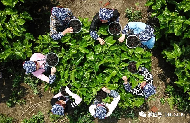 点击新窗口打开大图